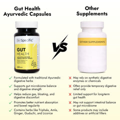 Ayurvedic Capsules for Gut Health | 100% Natural Herbal Extracts for Digestion, Gut Balance, Gas & Acidity Relief