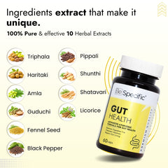 Ayurvedic Capsules for Gut Health | 100% Natural Herbal Extracts for Digestion, Gut Balance, Gas & Acidity Relief